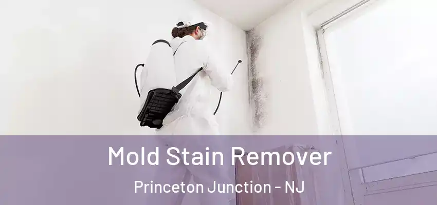 Mold Stain Remover Princeton Junction - NJ