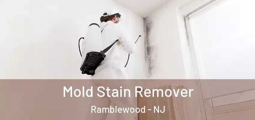  Mold Stain Remover Ramblewood - NJ