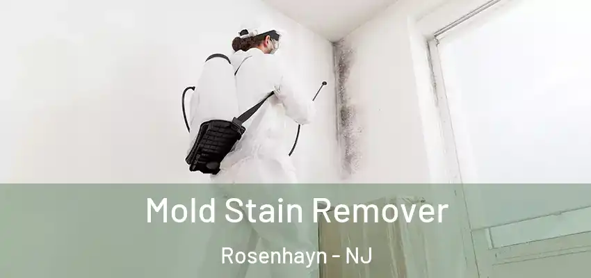 Mold Stain Remover Rosenhayn - NJ