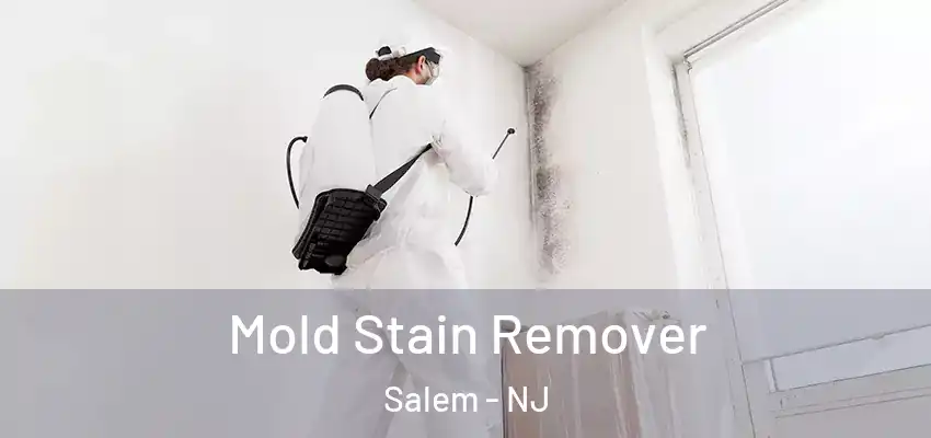  Mold Stain Remover Salem - NJ