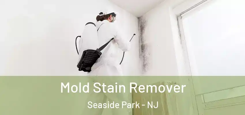  Mold Stain Remover Seaside Park - NJ