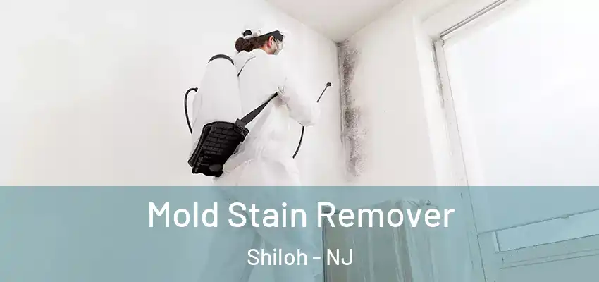 Mold Stain Remover Shiloh - NJ