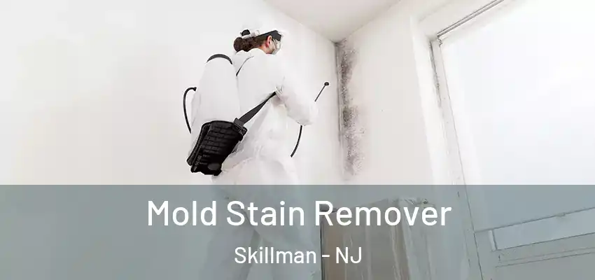 Mold Stain Remover Skillman - NJ