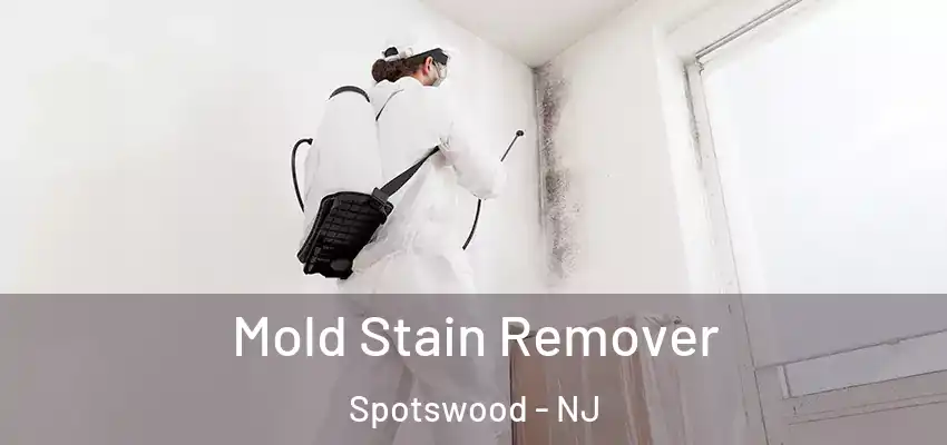 Mold Stain Remover Spotswood - NJ