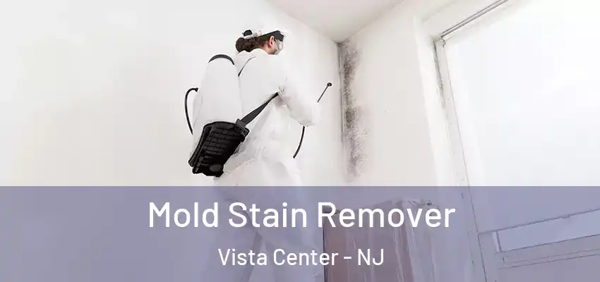 Mold Stain Remover Vista Center - NJ