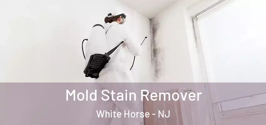 Mold Stain Remover White Horse - NJ