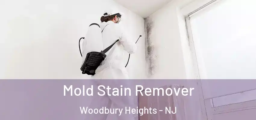  Mold Stain Remover Woodbury Heights - NJ