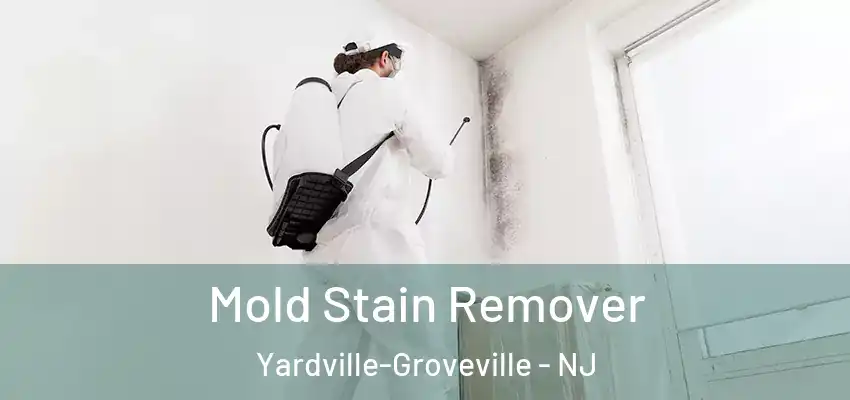  Mold Stain Remover Yardville-Groveville - NJ