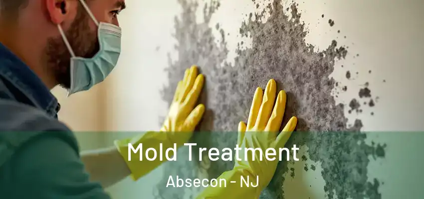 Mold Treatment Absecon - NJ