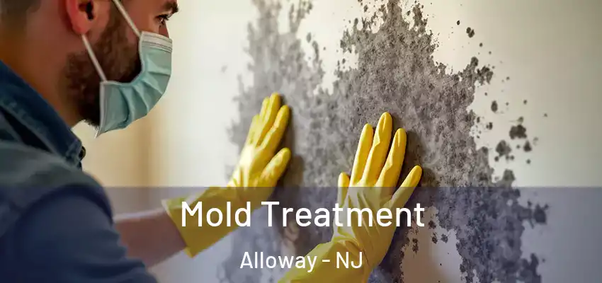  Mold Treatment Alloway - NJ