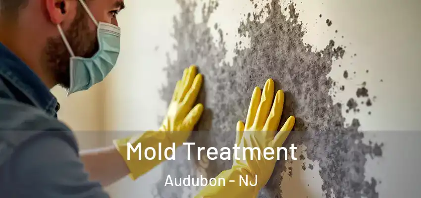 Mold Treatment Audubon - NJ