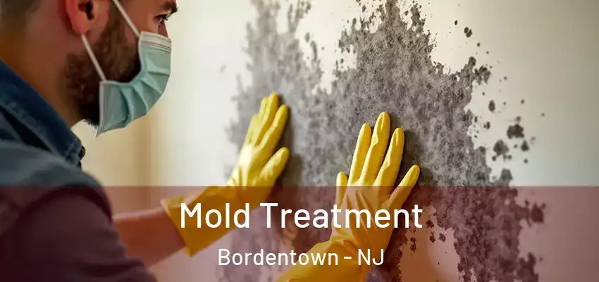 Mold Treatment Bordentown - NJ
