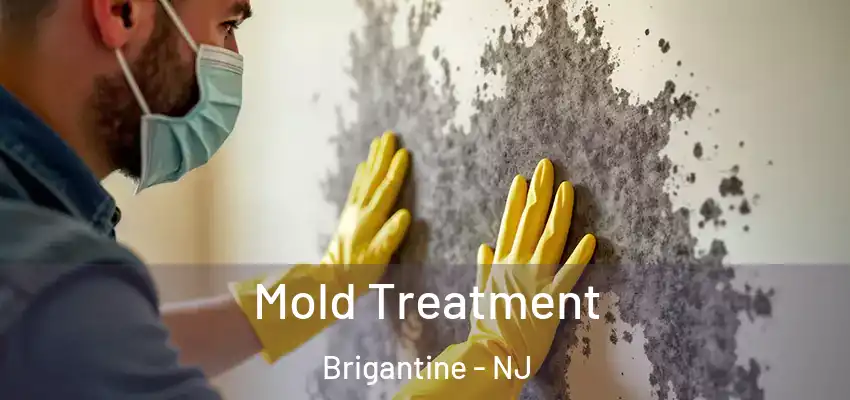 Mold Treatment Brigantine - NJ
