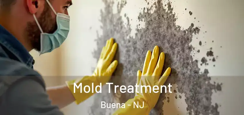 Mold Treatment Buena - NJ