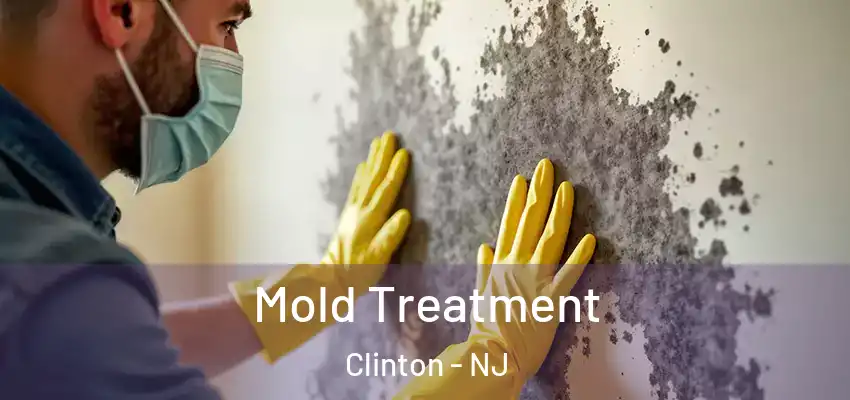 Mold Treatment Clinton - NJ