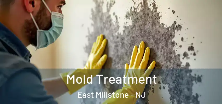  Mold Treatment East Millstone - NJ