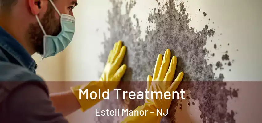  Mold Treatment Estell Manor - NJ