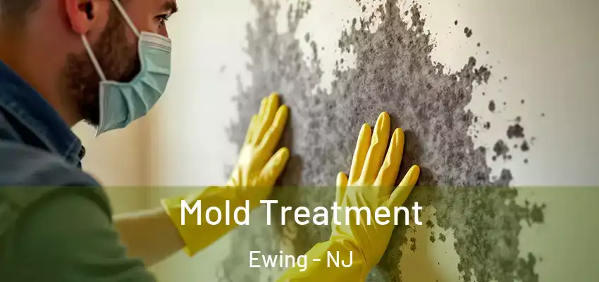  Mold Treatment Ewing - NJ