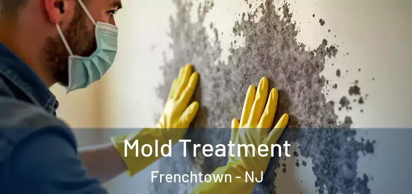 Mold Treatment Frenchtown - NJ