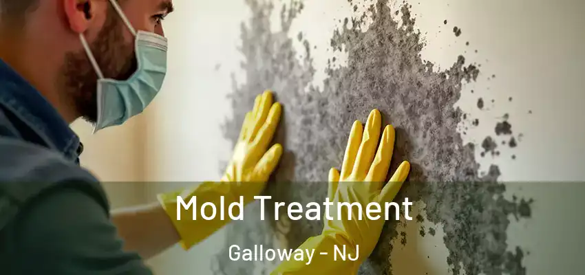  Mold Treatment Galloway - NJ