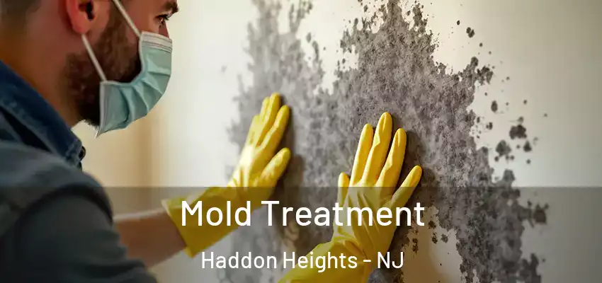 Mold Treatment Haddon Heights - NJ