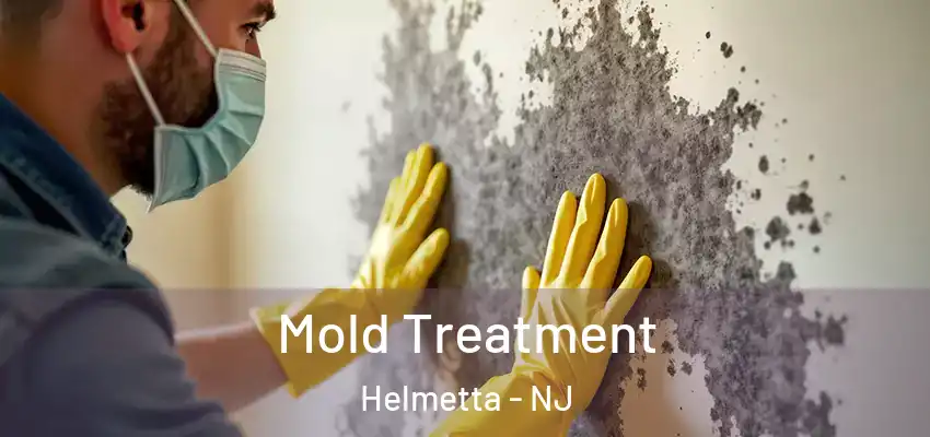  Mold Treatment Helmetta - NJ