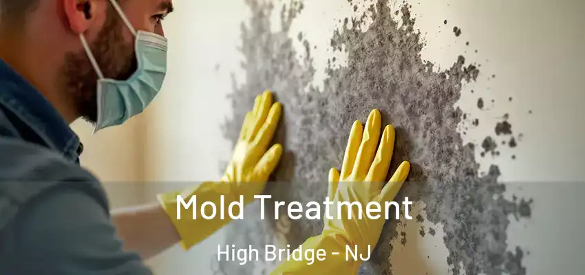 Mold Treatment High Bridge - NJ
