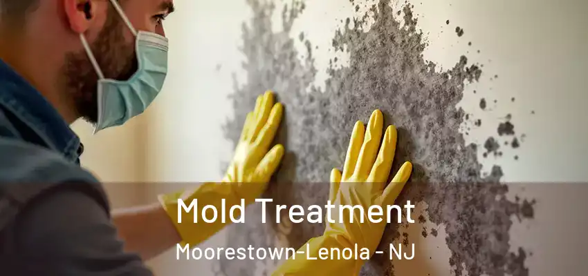 Mold Treatment Moorestown-Lenola - NJ