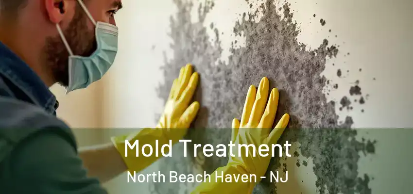 Mold Treatment North Beach Haven - NJ