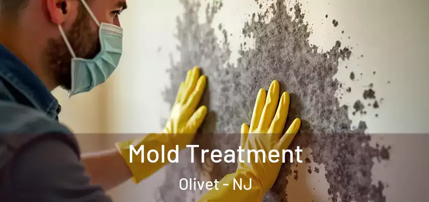 Mold Treatment Olivet - NJ