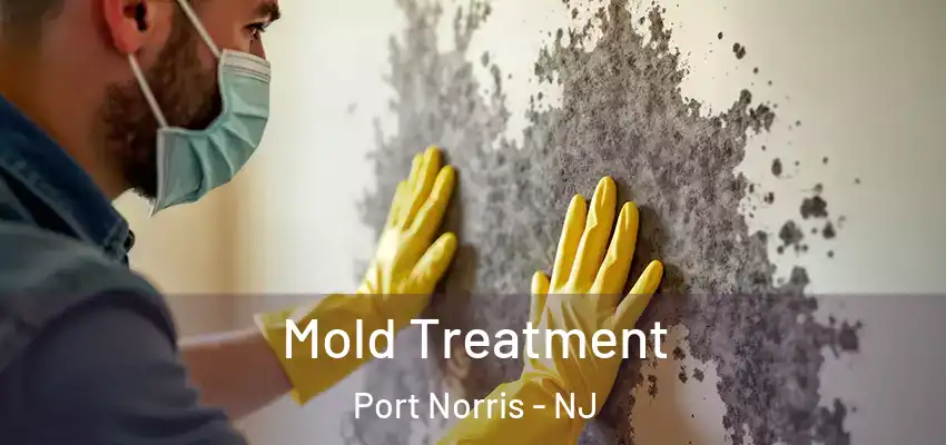 Mold Treatment Port Norris - NJ