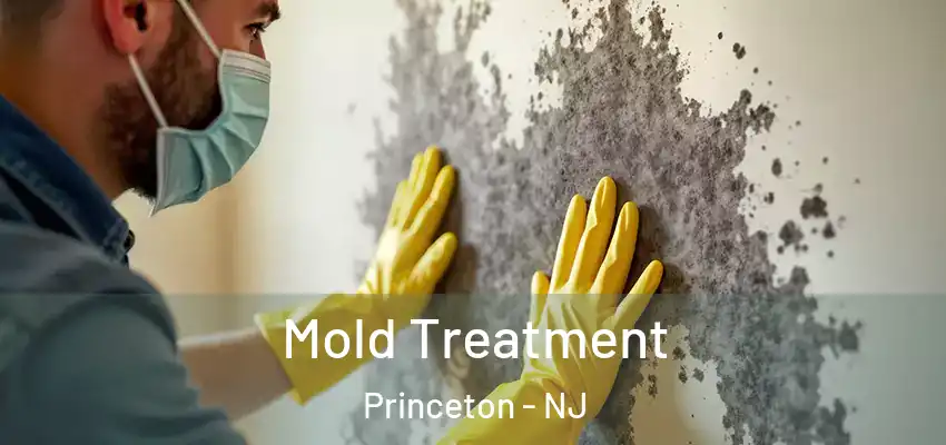  Mold Treatment Princeton - NJ