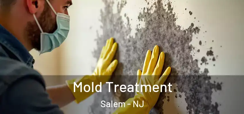 Mold Treatment Salem - NJ