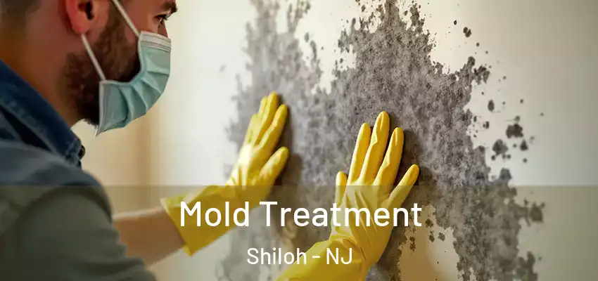 Mold Treatment Shiloh - NJ