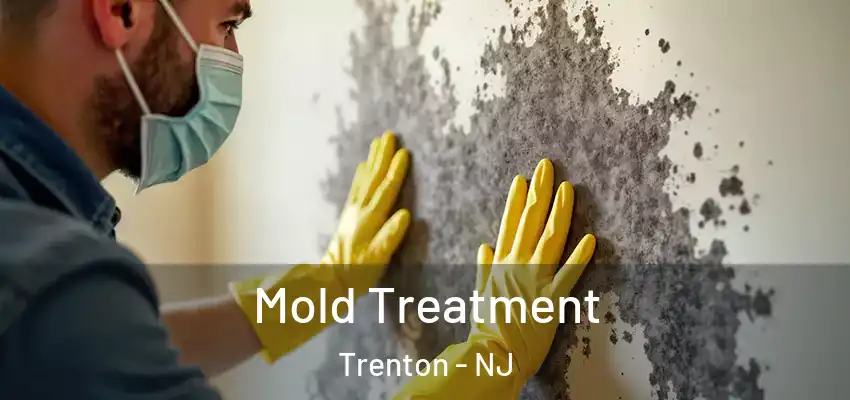  Mold Treatment Trenton - NJ