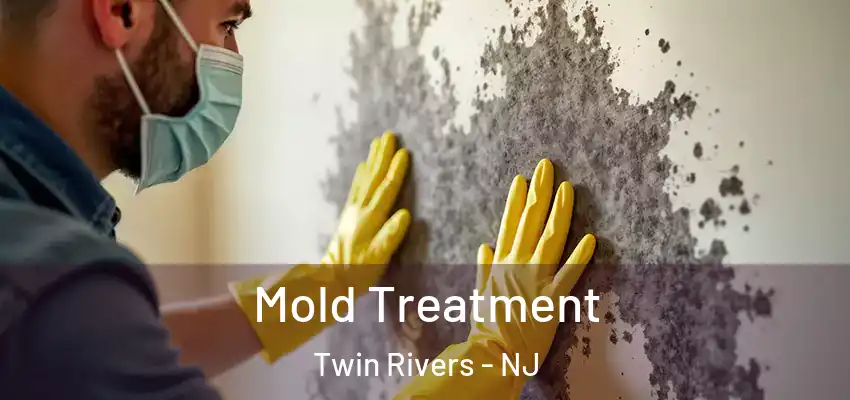 Mold Treatment Twin Rivers - NJ