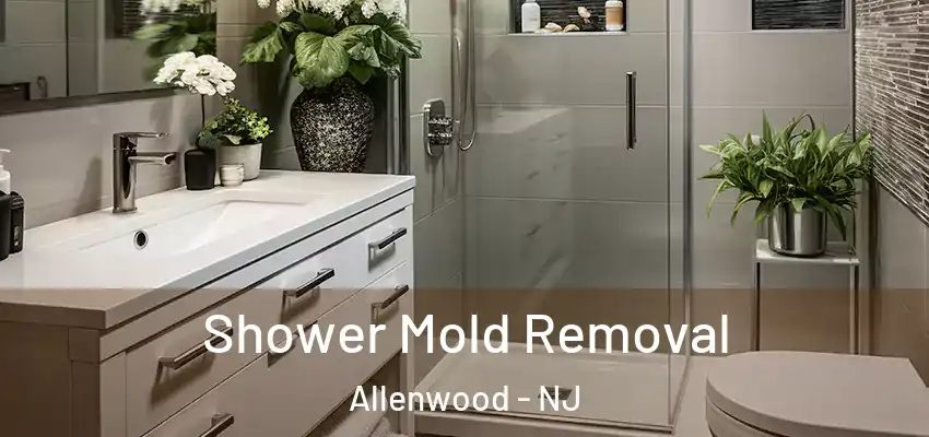  Shower Mold Removal Allenwood - NJ
