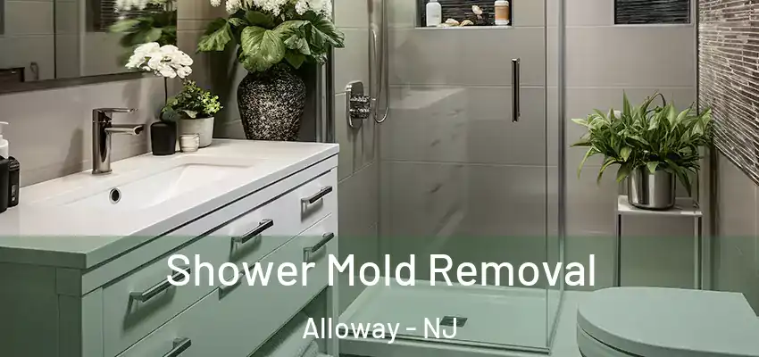  Shower Mold Removal Alloway - NJ