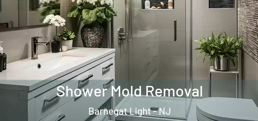 Shower Mold Removal Barnegat Light - NJ