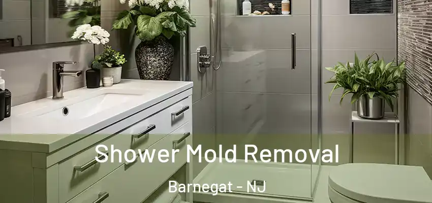 Shower Mold Removal Barnegat - NJ