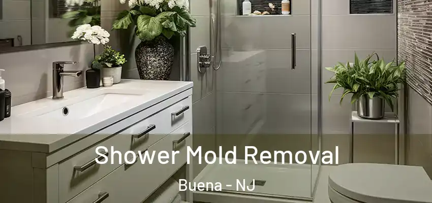 Shower Mold Removal Buena - NJ
