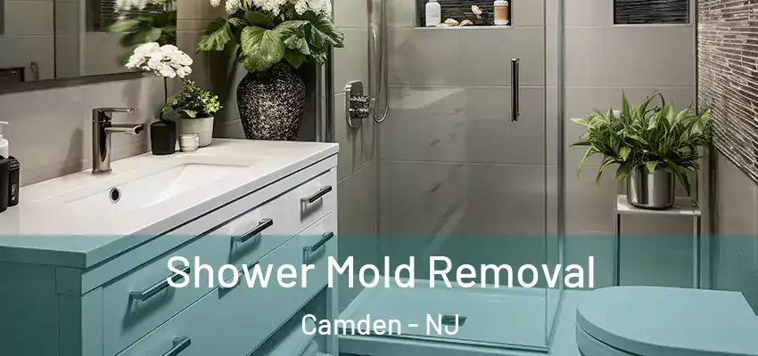 Shower Mold Removal Camden - NJ