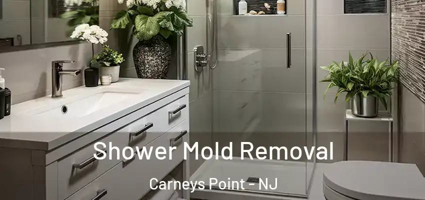  Shower Mold Removal Carneys Point - NJ