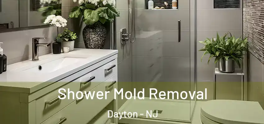 Shower Mold Removal Dayton - NJ