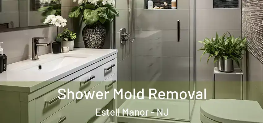 Shower Mold Removal Estell Manor - NJ