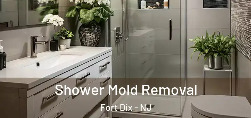 Shower Mold Removal Fort Dix - NJ