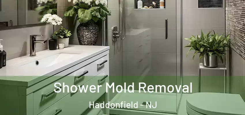  Shower Mold Removal Haddonfield - NJ