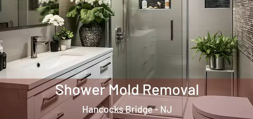  Shower Mold Removal Hancocks Bridge - NJ
