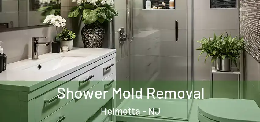  Shower Mold Removal Helmetta - NJ