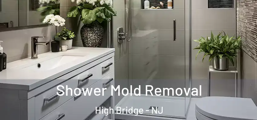 Shower Mold Removal High Bridge - NJ